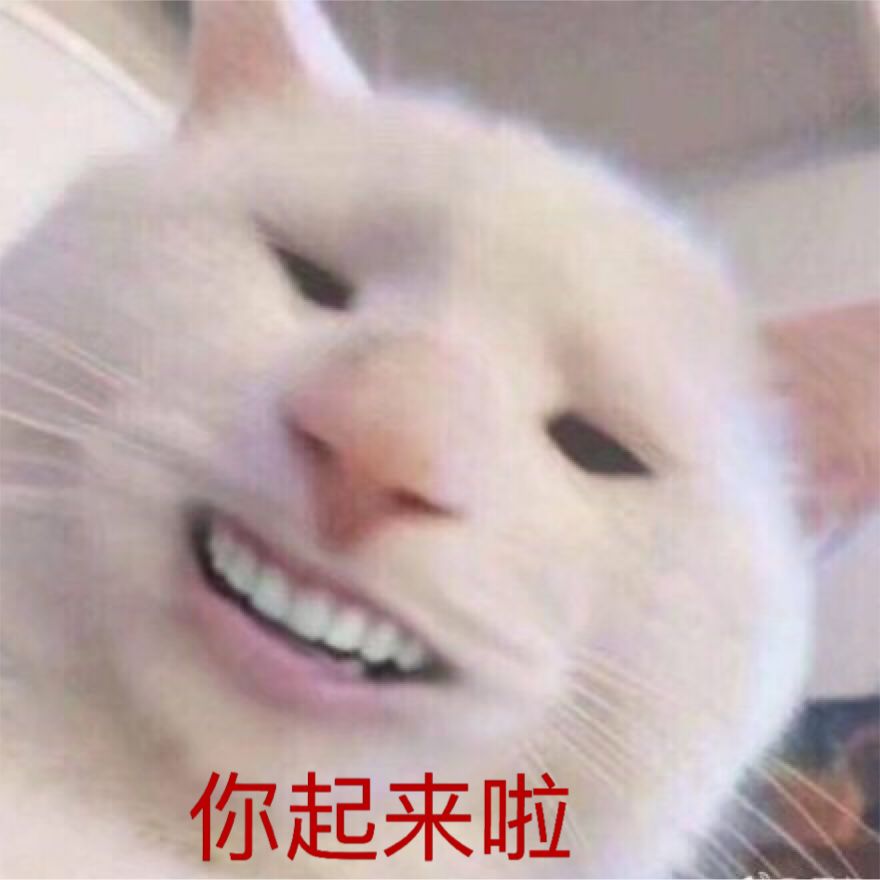 微信近期斗图恶搞表情包2020/5/8