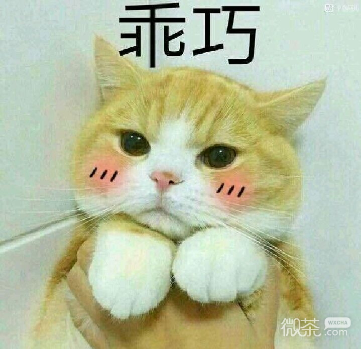 微信近期斗图恶搞表情包2020/5/8（二）