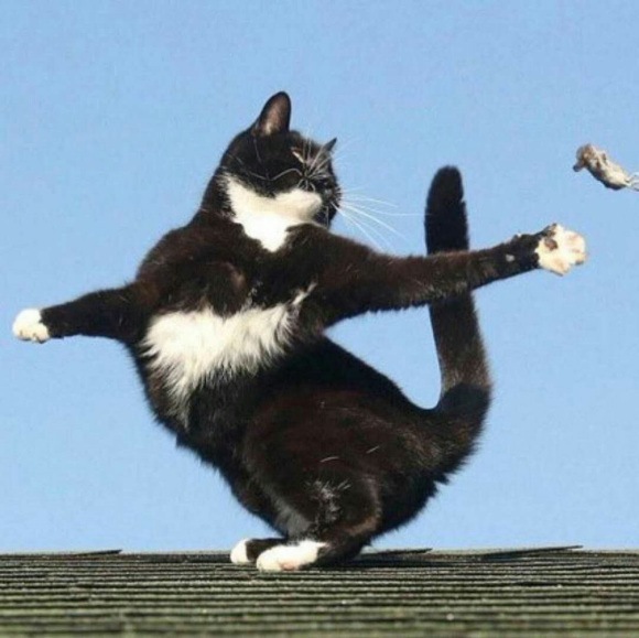 搞怪微信情侣头像