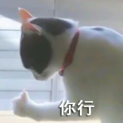 微信近期斗图恶搞表情包2020/5/8（二）