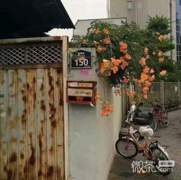 微信清新蓝色系海洋朋友圈配图