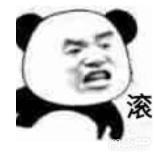围观微信傻屌聊天表情包