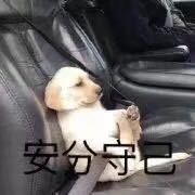 围观微信傻屌聊天表情包