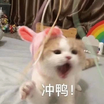 围观微信傻屌聊天表情包