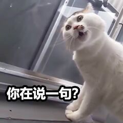 微信近期斗图恶搞表情包2020/5/8