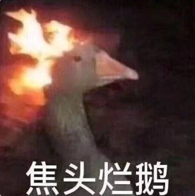 微信近期斗图恶搞表情包2020/5/11（二）