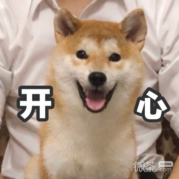 试探微信恶搞柴犬表情包