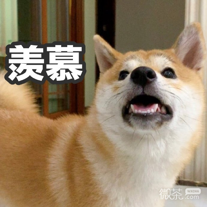 试探微信恶搞柴犬表情包