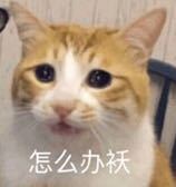 胡乱分析微信逗比聊天表情包