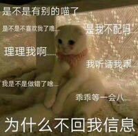 胡乱分析微信逗比聊天表情包