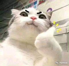 强吻恶搞斗图微信表情包