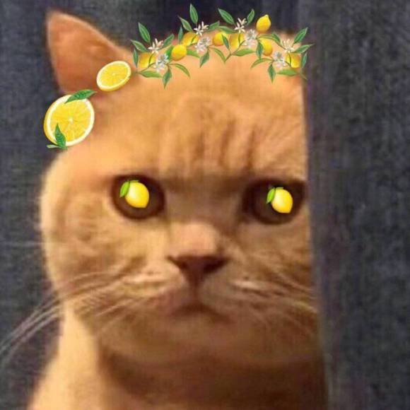 行吧恶搞傻屌斗图微信表情包