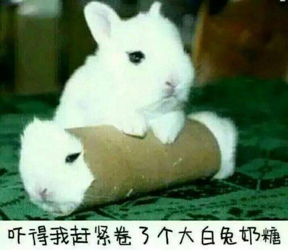 你要气死我微信恶搞斗图表情包