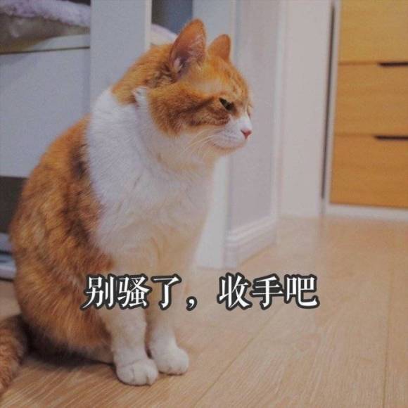 强吻恶搞斗图微信表情包