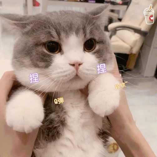 看热闹微信逗比聊天表情包