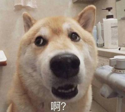 强吻恶搞斗图微信表情包