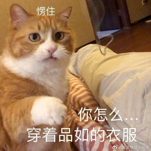 强吻恶搞斗图微信表情包