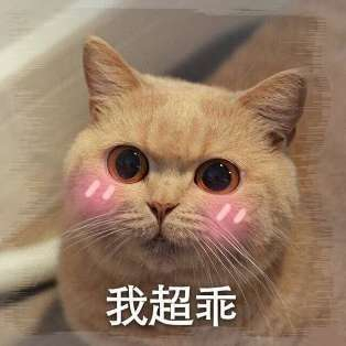 你要气死我微信恶搞斗图表情包