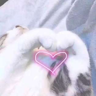 你要气死我微信恶搞斗图表情包