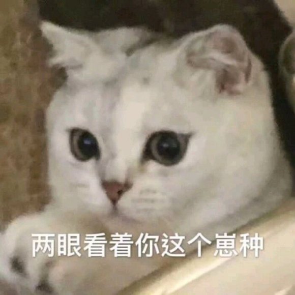 装傻微信恶搞聊天表情包