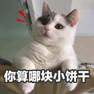 你要气死我微信恶搞斗图表情包