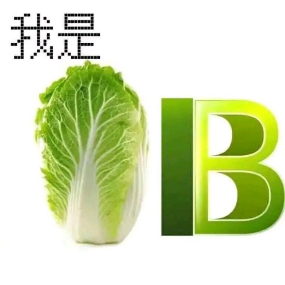 装傻微信恶搞聊天表情包