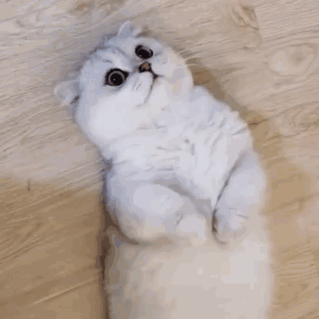 看热闹微信逗比聊天表情包