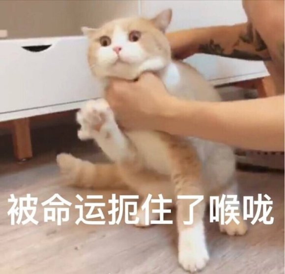 行吧恶搞傻屌斗图微信表情包