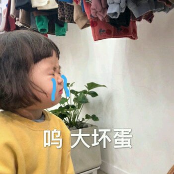 美妙微信傻屌聊天表情包