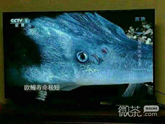 微信恶搞迷惑表情包
