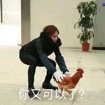 我草你妈微信傻屌聊天表情包