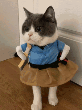 我草你妈微信傻屌聊天表情包