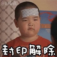 东北小萌娃谢腾飞表情包