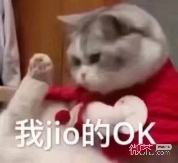 我懂微信聊天表情包