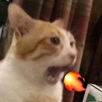 我懂微信聊天表情包