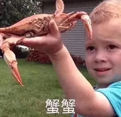 微信假笑男孩最新搞笑表情包