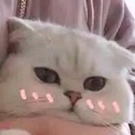 罪名微信恶搞斗图表情包