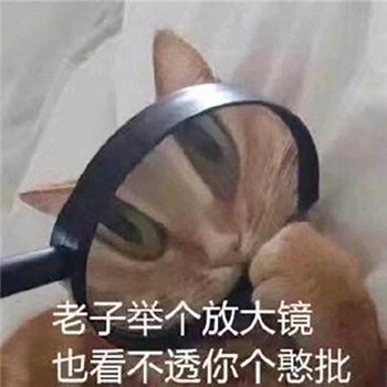 罪名微信恶搞斗图表情包