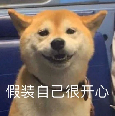 假装自己很开心系列表情包