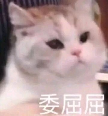 罪名微信恶搞斗图表情包