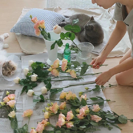 与星光同样浪漫的朋友圈配图