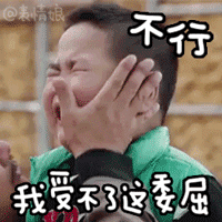 东北小萌娃谢腾飞表情包