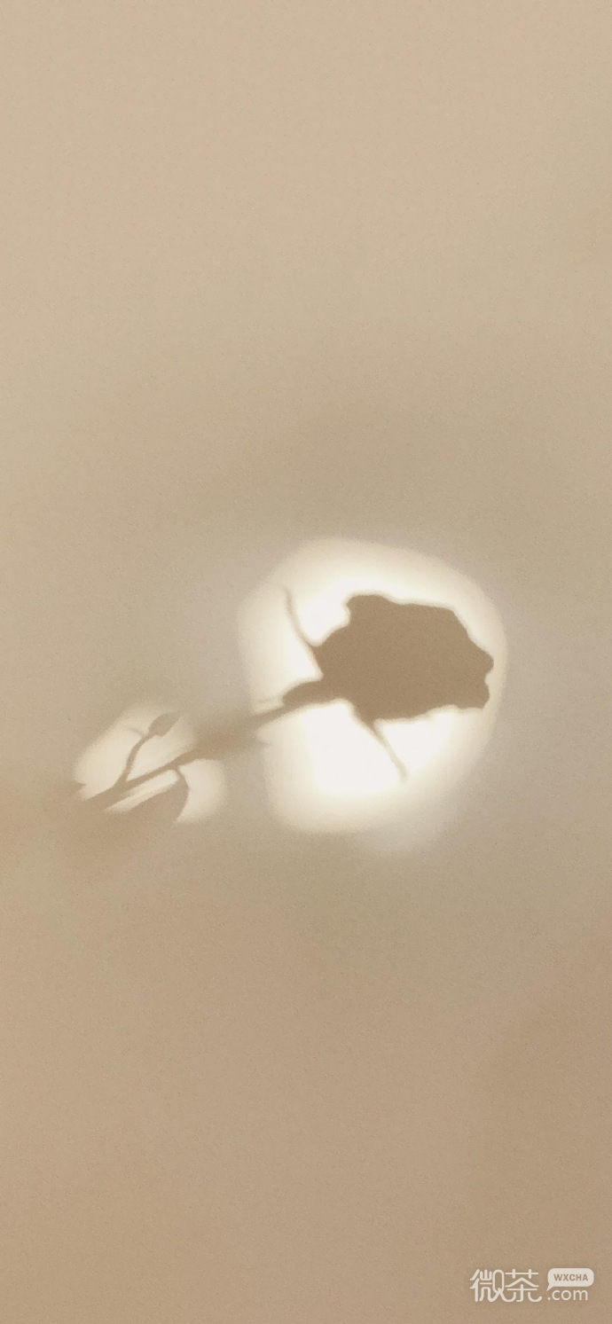 微信温柔梦幻系列背景图合集（一）