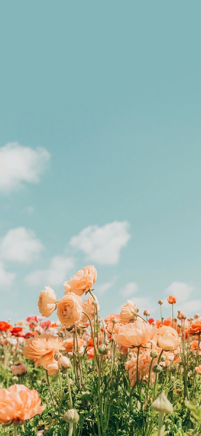 绝对不能少的简单耐看风的聊天背景图