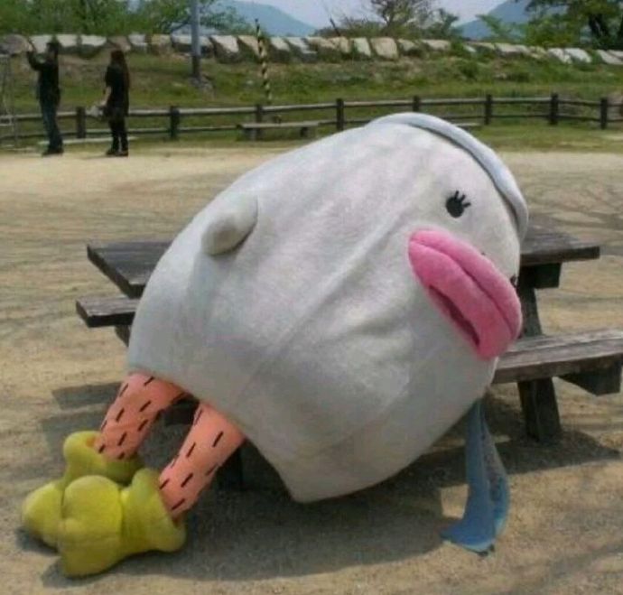 最新搞笑无脑可爱头像