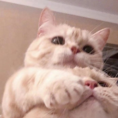 甜蜜指数爆棚系列情侣头像合集（二）