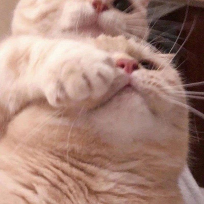 甜蜜指数爆棚系列情侣头像合集（二）