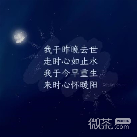 最火抖音文字图片