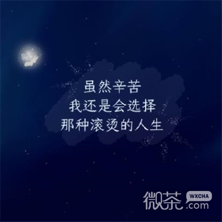最火抖音文字图片