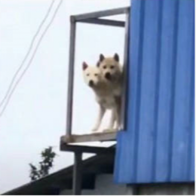 微信搞怪无厘头可笑头像